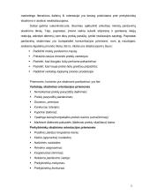 Marketingo planas: santechnikos darbai UAB "Sanda" 3 puslapis