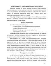 Marketingo planas: santechnikos darbai UAB "Sanda" 5 puslapis