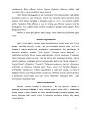 Marketingo planas: santechnikos darbai UAB "Sanda" 6 puslapis