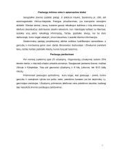 Marketingo planas: santechnikos darbai UAB "Sanda" 7 puslapis