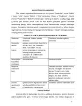 Marketingo planas: santechnikos darbai UAB "Sanda" 8 puslapis