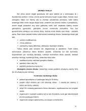 Marketingo planas: santechnikos darbai UAB "Sanda" 10 puslapis