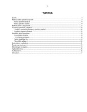 Marketingo priemonių planas: vienkartinės nosinaitės "Tempo" 2 puslapis