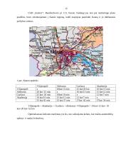 Marketingo priemonių planas: vienkartinės nosinaitės "Tempo" 12 puslapis