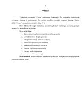 Marketingo priemonių planas: vienkartinės nosinaitės "Tempo" 3 puslapis