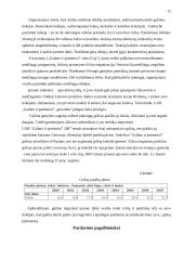 Marketingo programa: UAB "Galinta" 12 puslapis