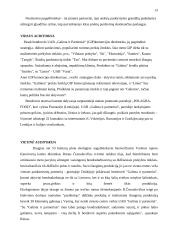 Marketingo programa: UAB "Galinta" 13 puslapis