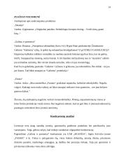 Marketingo programa: UAB "Galinta" 14 puslapis