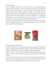 Marketingo programa: UAB "Galinta" 16 puslapis