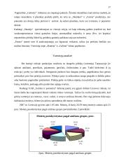 Marketingo programa: UAB "Galinta" 17 puslapis
