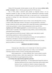 Marketingo programa: UAB "Galinta" 18 puslapis