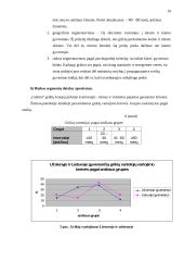 Marketingo programa: UAB "Galinta" 19 puslapis