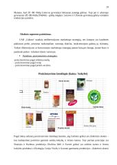 Marketingo programa: UAB "Galinta" 20 puslapis