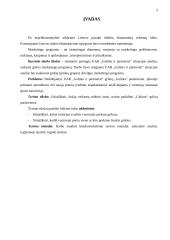 Marketingo programa: UAB "Galinta" 3 puslapis