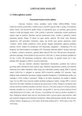 Marketingo programa: UAB "Galinta" 6 puslapis