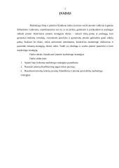 Marketingo strategijos 2 puslapis