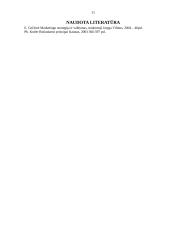 Marketingo strategijos 11 puslapis