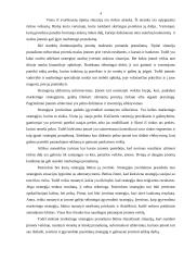 Marketingo strategijos 4 puslapis