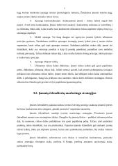 Marketingo strategijos 7 puslapis