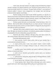 Marketingo strategijos 8 puslapis