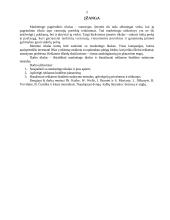 Marketingo tikslai ir reklamos biudžetas 2 puslapis