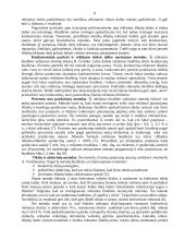 Marketingo tikslai ir reklamos biudžetas 11 puslapis