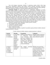 Marketingo tikslai ir reklamos biudžetas 13 puslapis