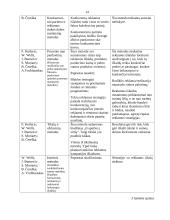 Marketingo tikslai ir reklamos biudžetas 14 puslapis