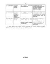 Marketingo tikslai ir reklamos biudžetas 15 puslapis