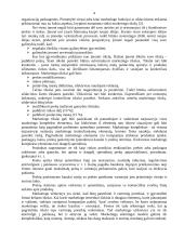 Marketingo tikslai ir reklamos biudžetas 4 puslapis