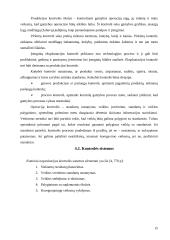 Marketingo valdymo procesas organizacijoje 15 puslapis