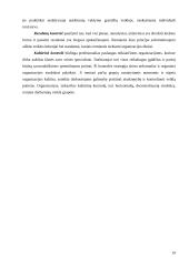 Marketingo valdymo procesas organizacijoje 19 puslapis