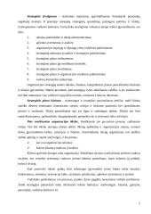 Marketingo valdymo procesas organizacijoje 5 puslapis