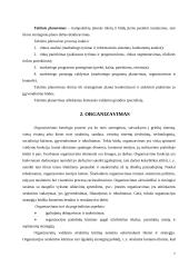 Marketingo valdymo procesas organizacijoje 7 puslapis