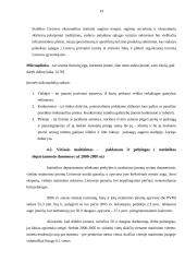 Marketingo veiklos organizavimas ir plėtros galimybės: svečių namai "Ida Basar" 19 puslapis