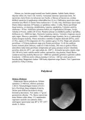 Marsas, Marso informacija 3 puslapis