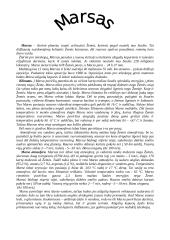 Faktai apie Marsą 2 puslapis