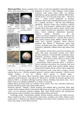 Faktai apie Marsą 3 puslapis