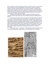 Marsas ir Marso tyrinėjimai 9 puslapis