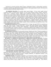 Masažas, jo poveikis organizmui 4 puslapis