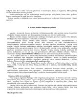 Masažas, jo poveikis organizmui 7 puslapis