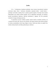 Masinės kultūros Lietuvoje analizė 2 puslapis