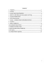 Žodžiai ir ryšys tarp jų 2 puslapis