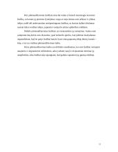 Žodžiai ir ryšys tarp jų 12 puslapis