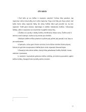 Žodžiai ir ryšys tarp jų 13 puslapis