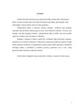 Žodžiai ir ryšys tarp jų 3 puslapis