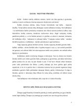 Žodžiai ir ryšys tarp jų 4 puslapis