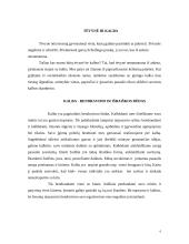 Žodžiai ir ryšys tarp jų 6 puslapis