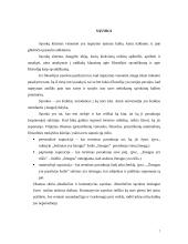 Žodžiai ir ryšys tarp jų 7 puslapis