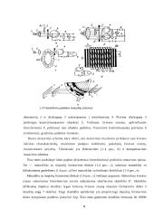 Matavimo aparatų klasifikavimas 6 puslapis